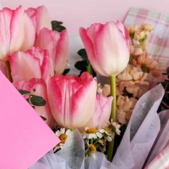 Meet your Posher, Gerlie - Picture 1 of 1